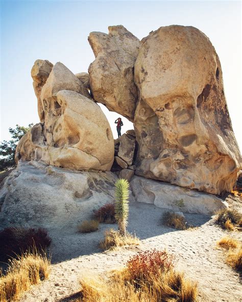 Top 8 Rock Formations Joshua Tree National Park — Flying Dawn Marie