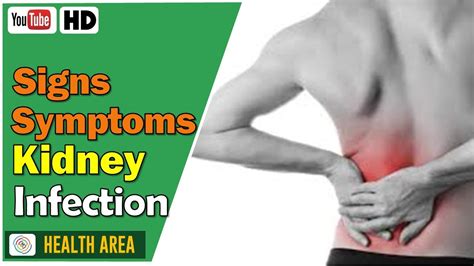 9 Kidney Infection Signs And Symptoms Youtube