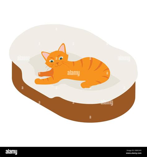 Ginger Cat Sleeps In His Soft Cozy Bed Cushion Isolated On White