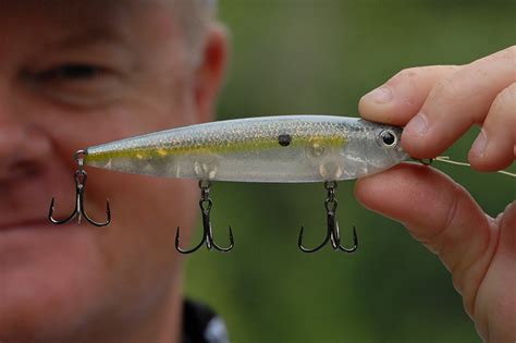 5 Best Bass Lures For Summer Game Fish