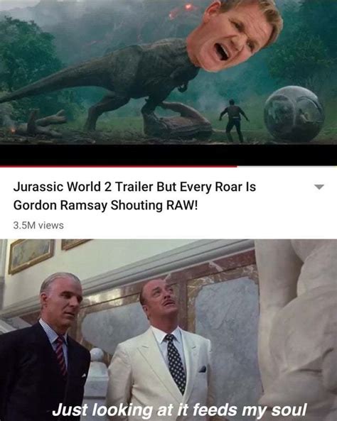Gordon Ramsay Raw Meme Love Meme