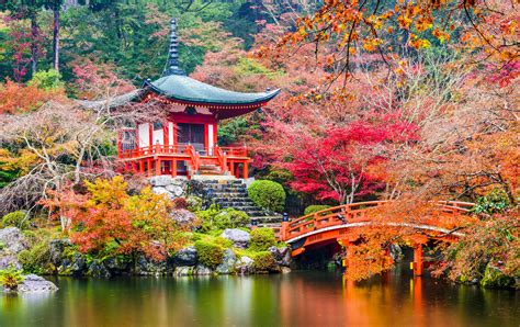 Kyoto and osaka are generally the two most popular choices in the area, and we're here to help read more about osaka and kyoto in this detailed guide, and you will easily figure out which city is a. Daigoji Temple | Kyoto Attractions | Travel Japan | JNTO