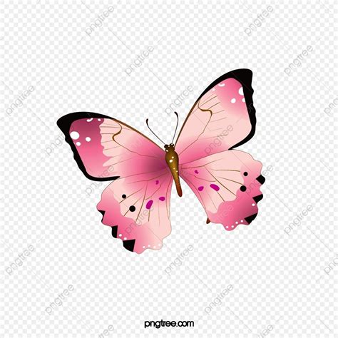 Cartoon Butterfly Butterfly Clip Art Red Butterfly Butterfly