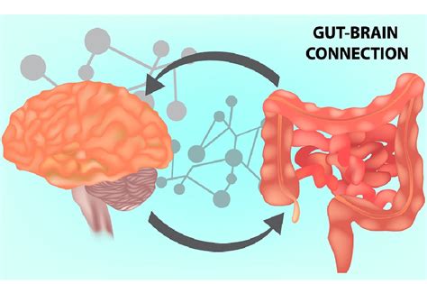 Its All Connected The Gut Brain Axis Natural Solutions Magazine