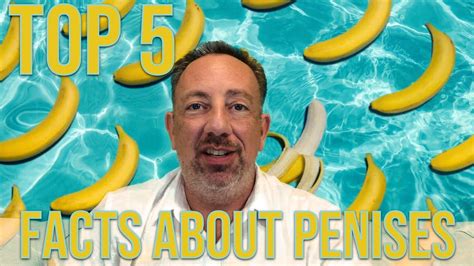 top 5 facts about penises youtube