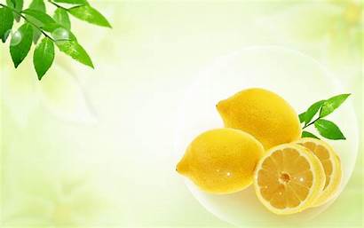 Lemon Wallpapers Lemons Tree Fruit