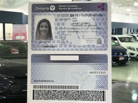 Ontario Drivers License Number Format Streamstart