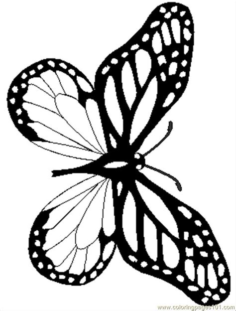 Coloring is a hobby all of us can get behind—children and adults alike! 189 Monarchreal Coloring Page - Free Butterfly Coloring ...