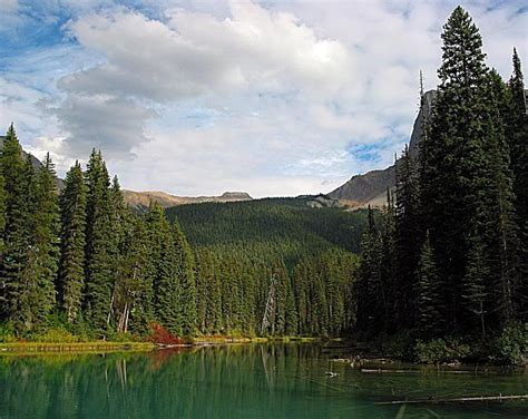 Emerald Lake Yoho National Park Canada Trees Sky Water Lake Hd