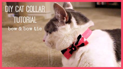 Diy Cat Collar Tutorial Bow And Bow Tie Youtube