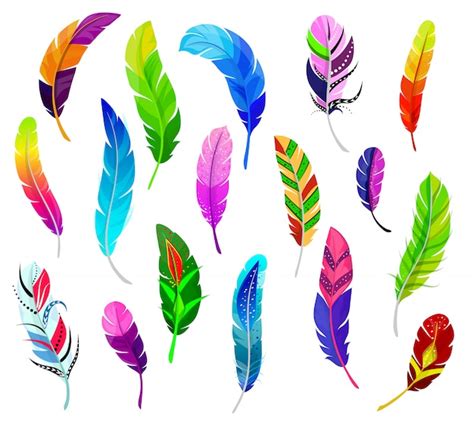 Premium Vector Feather Vector Fluffy Feathering Quil And Colorful