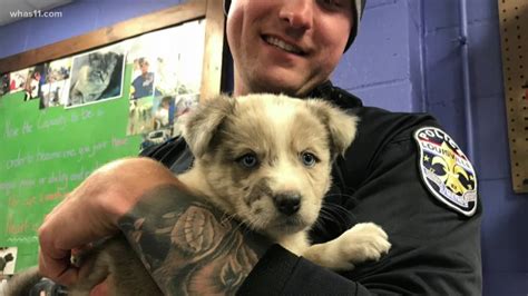 Police Officer Saves Puppy Adopts It