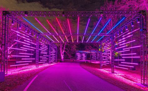 Morton Arboretums Laser Show Special Illumination Tree Lights Is