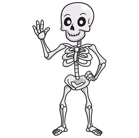 How To Draw A Cartoon Skeleton 92023