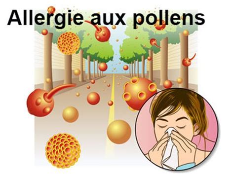 Allergies Aux Pollens Définition