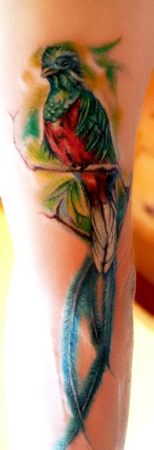 Quetzal (Guatemalan bird) tattoo by MarinaAlex on DeviantArt