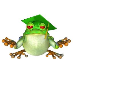 Cute Frog Backgrounds Wallpaper Cave