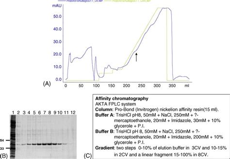 A Chromatogram Of Affinity Chomatography RRET Elutes From Pro Bond