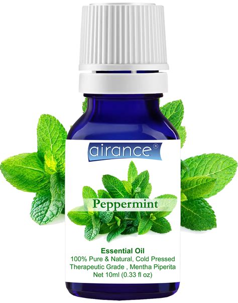 Peppermint Essential Oil Steam Distilled 100 Pure And Natural