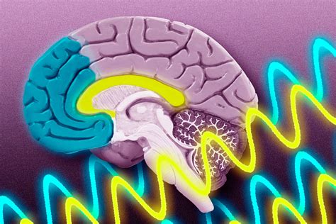 How Brain Waves Guide Memory Formation Mit News Massachusetts
