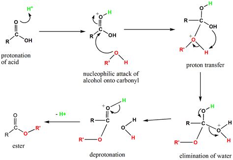 Fischer Esterification Mechanism Fischer Esterification Definition