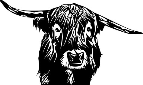 Highland Cow Svg Cut File