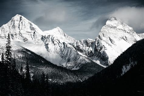 Hd Wallpaper Mountains Black And White Forest Nature Peak Snow