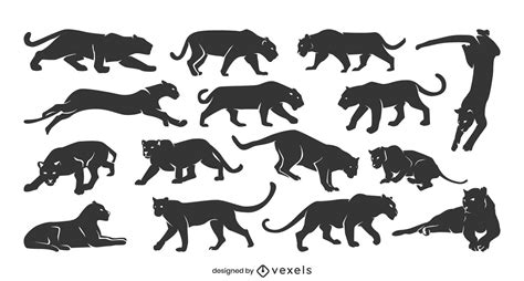 Panther Silhouette Collection Vector Download