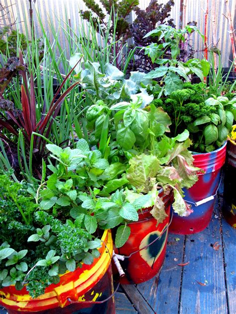 Be sure to check out these easy vegetable crops, too — many work well in container gardens! The Best Vegetables and Herbs for Your Container Garden | HGTV