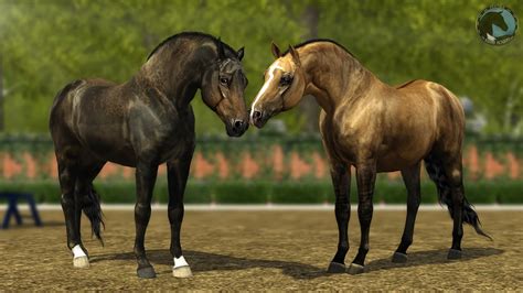 Sims 3 Horse Speededit 01 Youtube