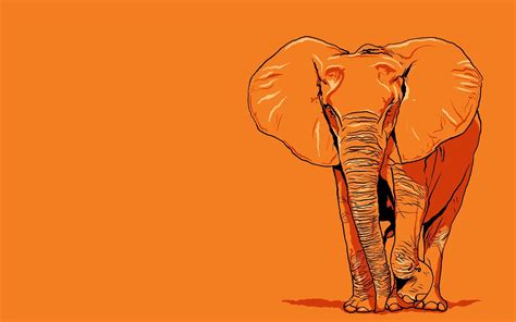 Elephant Desktop Backgrounds Wallpaper Cave