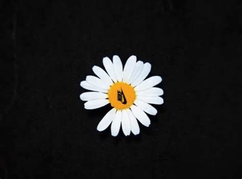 나이키 로고, 나이키, 로고에 관한 아이디어를 더 확인해 보세요. 나이키 파라노이즈에 열광하는 이유 | ㅍㅍㅅㅅ