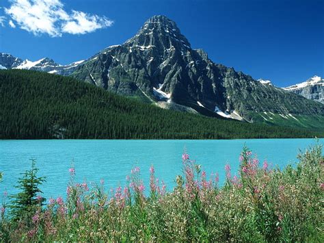 Turquoise Lake Mountain Turquoise Grass Lake Hd Wallpaper Peakpx