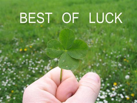These lucky plants also make great gifts for your loved ones. Good Luck Wallpapers - Wallpaper Cave