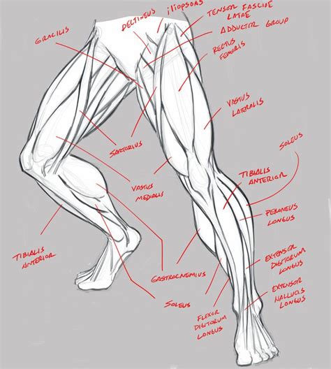 Robo Bean By Theartosis On Deviantart Human Anatomy Drawing Human Anatomy Art Anatomy