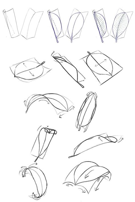 How to Draw a Frangipani Bloom Easily - Step-by-Step | Easy drawings