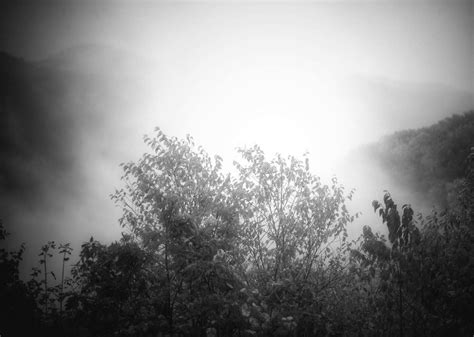 Virginia Foggy At The Shenandoah National Park Photograph By Siyano Prach