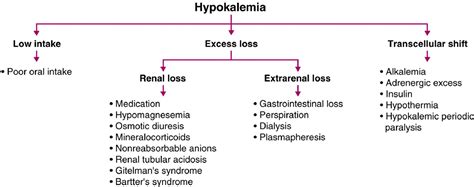 Hypothermia Induced Hypokalemia The American Journal Of Medicine