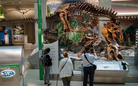 The Smithsonian Just Added A Real Tyrannosaurus Rex Skeleton At The Natural History Museum