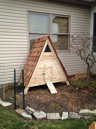 With the run, their coop door can stay open all night and they can come and go as they please. 10 Duck House Plans You Can Build This Weekend | The Poultry Guide