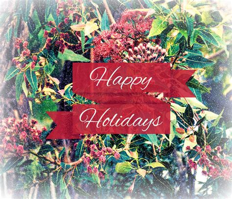 Happy Holidays Greeting Free Stock Photo Public Domain Pictures