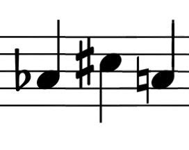 An accidental sign raises or lowers the following note from its normal pitch, usually by a semitone, although microtonal music may use fractional accidental signs, and one occasionally sees double sharps or flats, which raise or lower the indicated note by a whole tone. Back of the Cereal Box: The Shape of Music