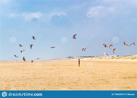 Sandy Crosby Beach Near Liverpool On A Sunny Day Stock Image Image Of