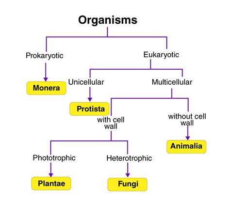 Classification Of Living Things Flow Chart