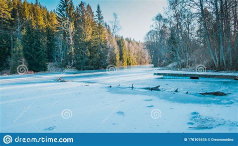 View Of A Frozen Lake In The Middle Of A Scandinavian Forest Stock