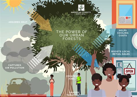 Us Tree Planting Project Aims To Address Inequality World Economic Forum