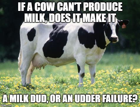 Dairy Cows Imgflip