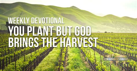 You Plant But God Brings The Harvest