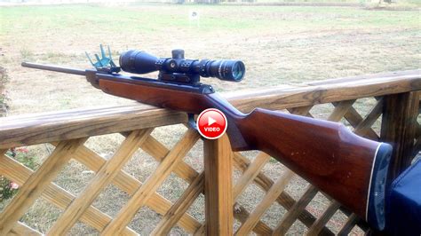 More images for can i bb gun kill you » Can a .177 Caliber Break Barrel Pellet Gun Kill a Coyote?