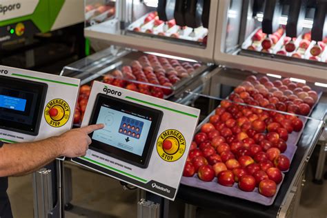 Fruit Packing Robot Dramatically Cuts Packhouse Labor Needs